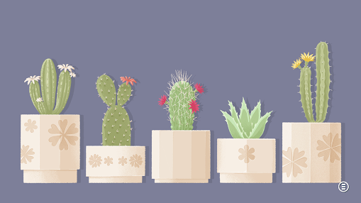 往左一点看星星关卡