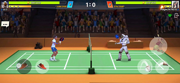 决战羽毛球羽毛球