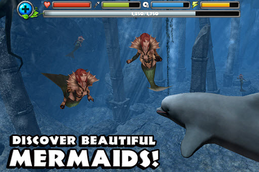 海豚模拟器海豚