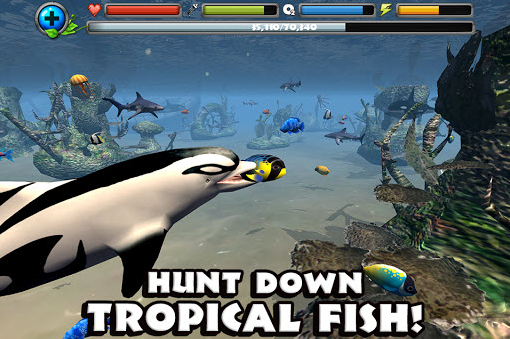 海豚模拟器动物