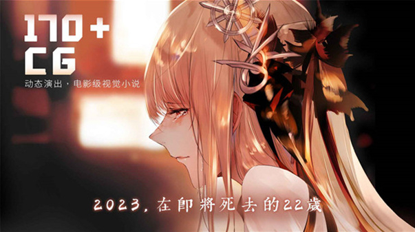 孟德大小姐与自爆少年剧情