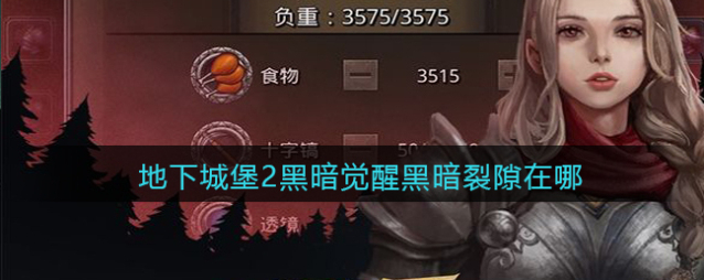 地下城堡2：黑暗觉醒裂隙