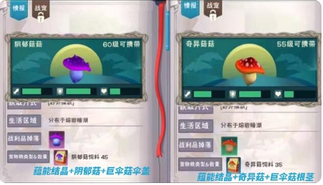 创造与魔法生命
