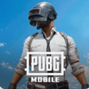 pubg和平精英亚洲服