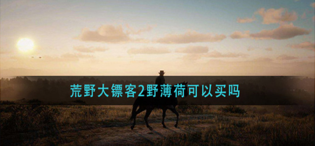 相关攻略野薄荷
