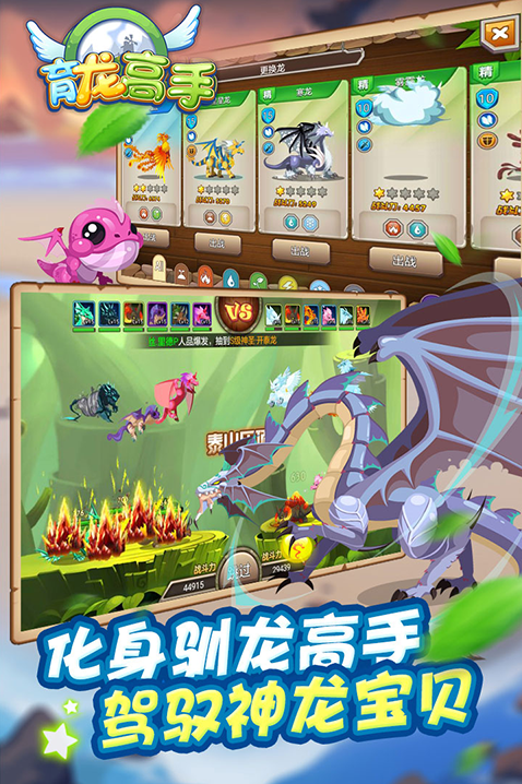 育龙高手战斗力