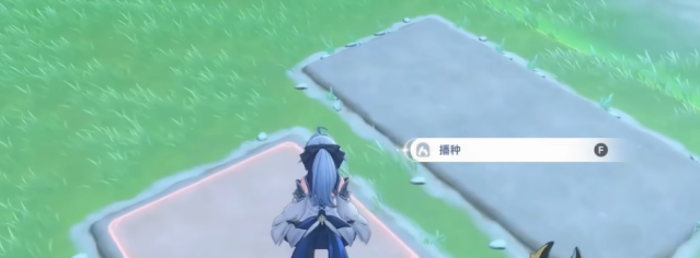 蓝色星原：旅谣水田
