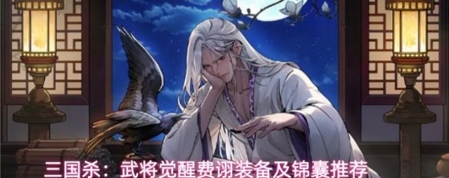 三国杀：武将觉醒费诩装备及锦囊推荐