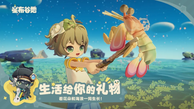 星布谷地星布