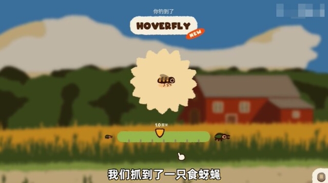 斗虫公园探索