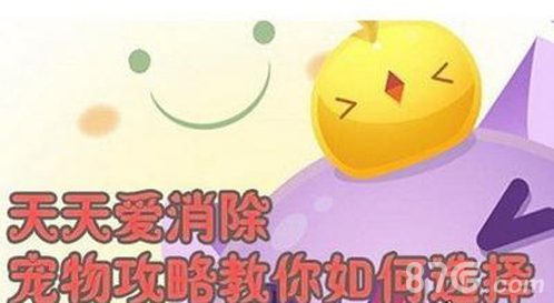 天天爱消除宠物