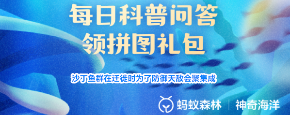 沙丁鱼群在迁徙时为了防御天敌会聚集成
