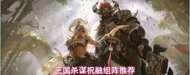 三国杀谋祝融组阵推荐