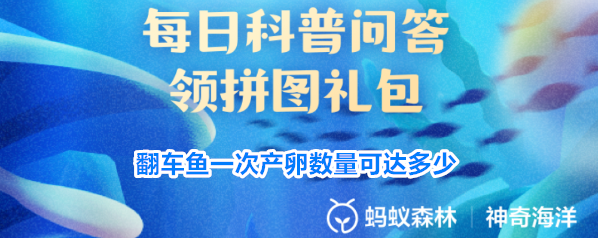 翻车鱼一次产卵数量可达多少