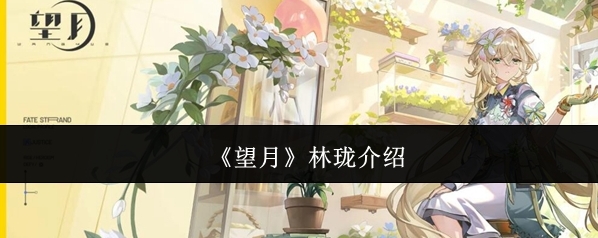 《望月》林珑介绍