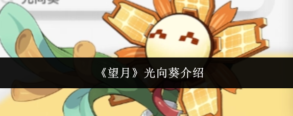 《望月》光向葵介绍