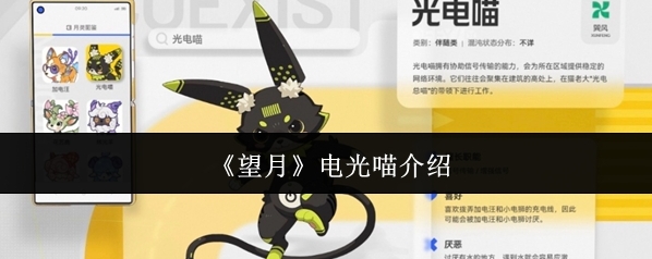 《望月》电光喵介绍