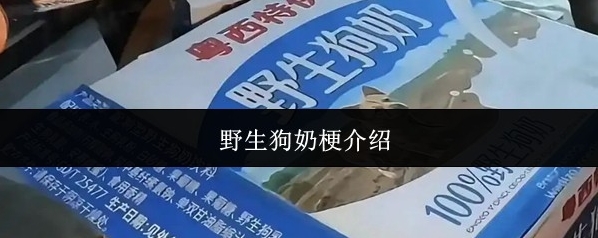 野生狗奶梗介绍
