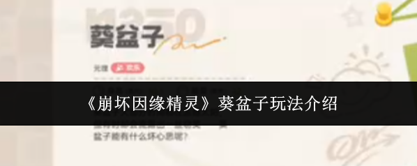 《崩坏因缘精灵》葵盆子玩法介绍