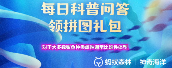 对于大多数鲨鱼种类雌性通常比雄性体型