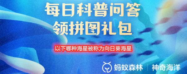 以下哪种海星被称为向日葵海星
