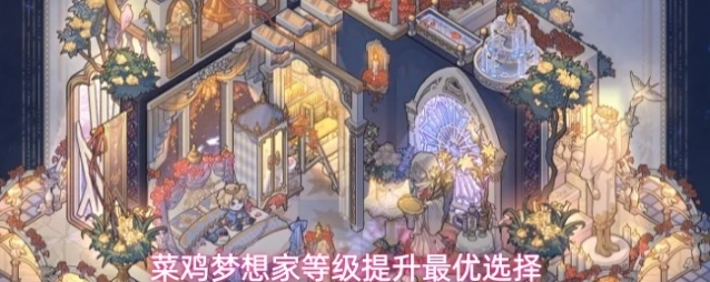 菜鸡梦想家等级提升最优选择