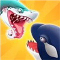 shark world
